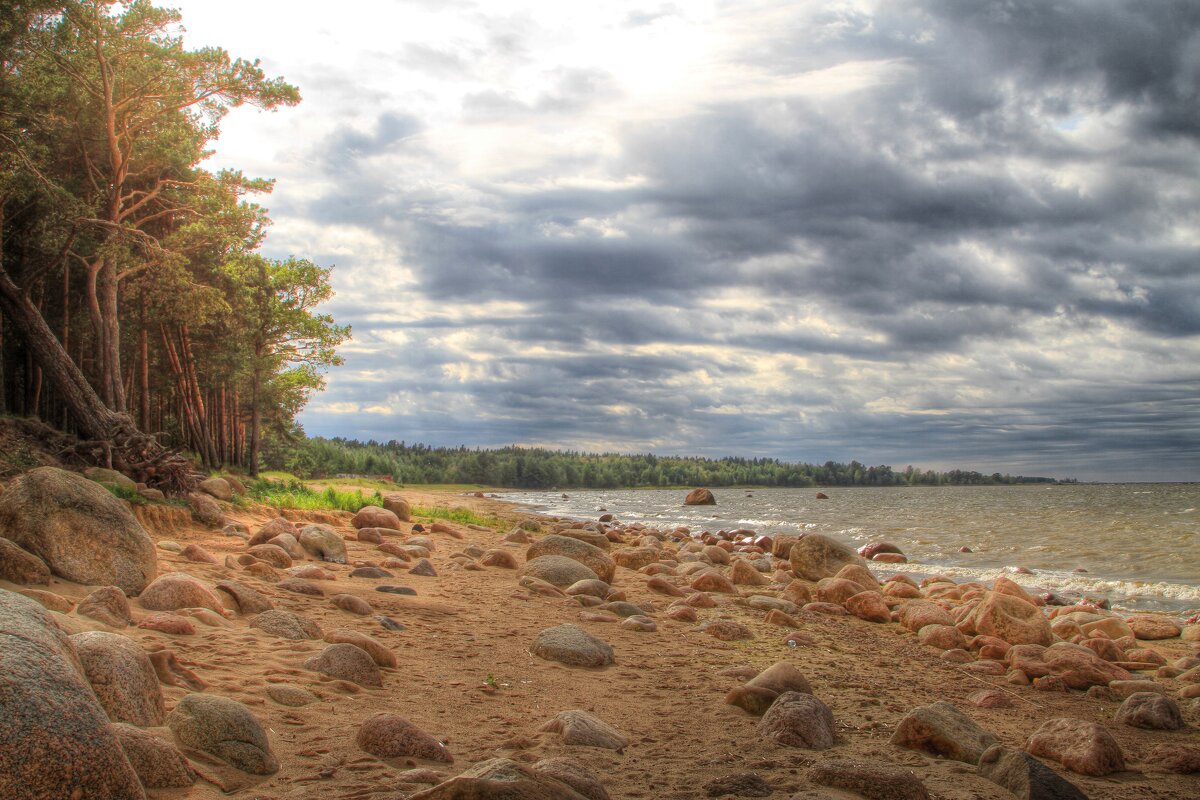 Красивый берег финского залива