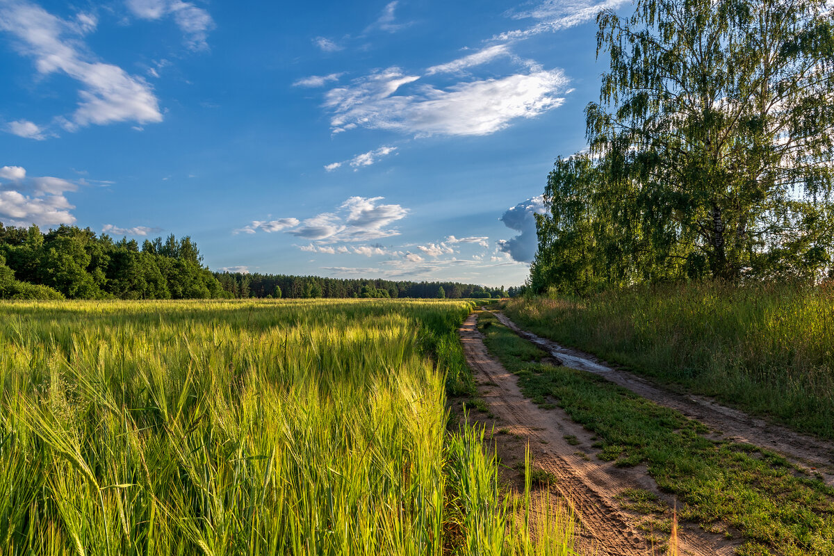 река полонка псковская область