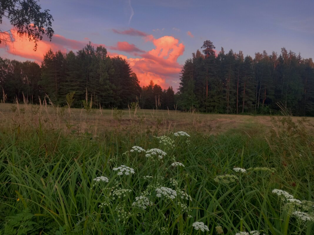 Закат - Сапсан 