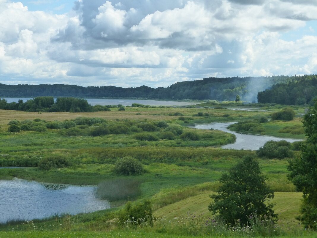 Вид с Савкиной горки на реку Сороть и озеро Кучане - Лидия Бусурина