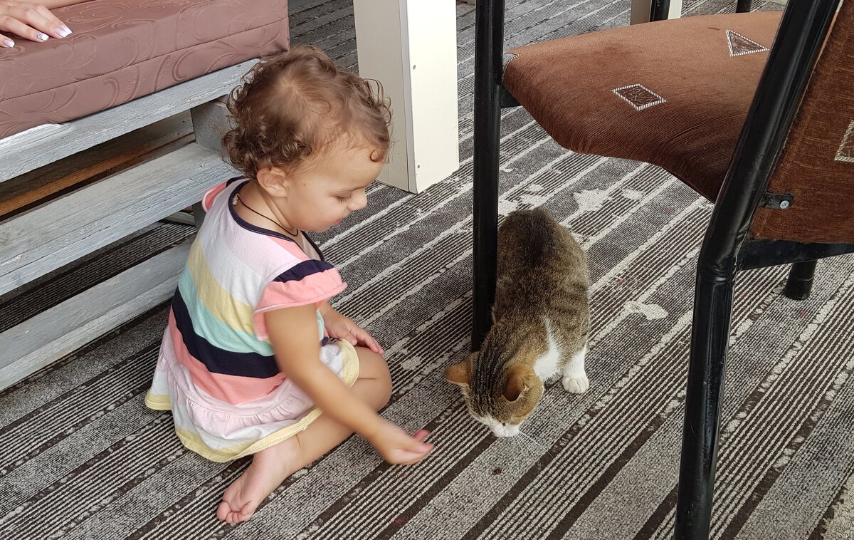 Любительница кошек - Наталья (D.Nat@lia)