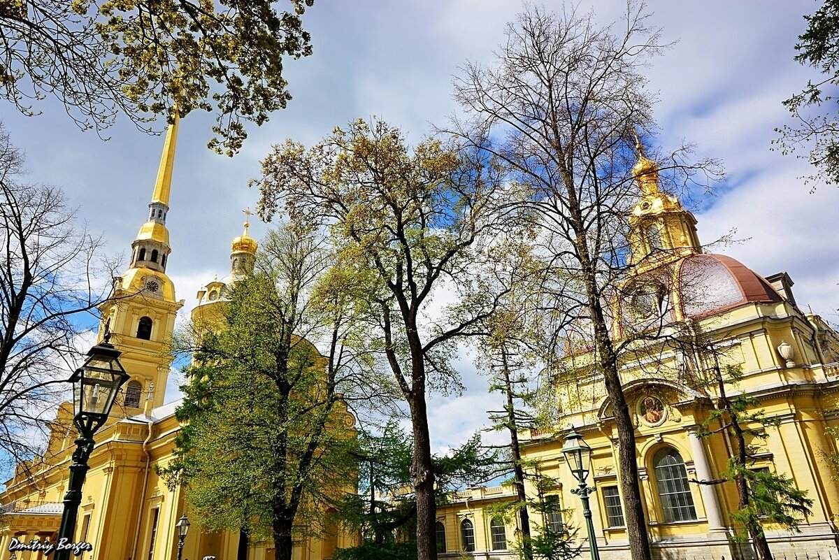 Петербургские зарисовки - Дмитрий Боргер