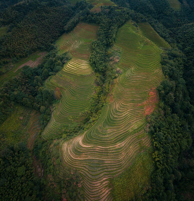 Рисовые террасы Лоньшень в провинции Гуанси - Дмитрий 