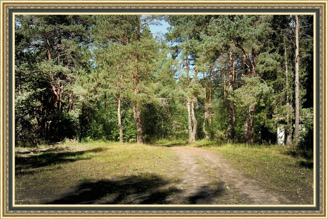 Лесной пейзаж. - barsuk lesnoi
