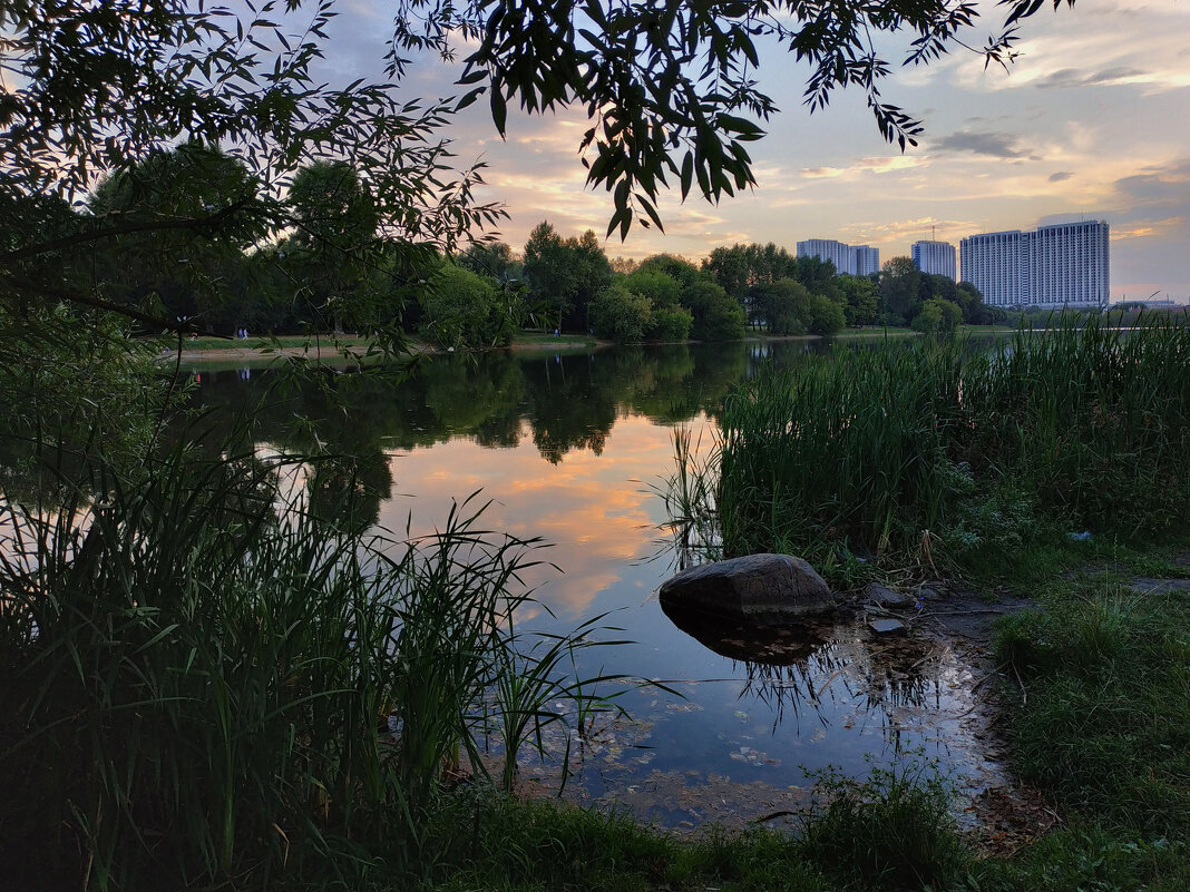 Предпоследний летний вечер на пруду - Андрей Лукьянов