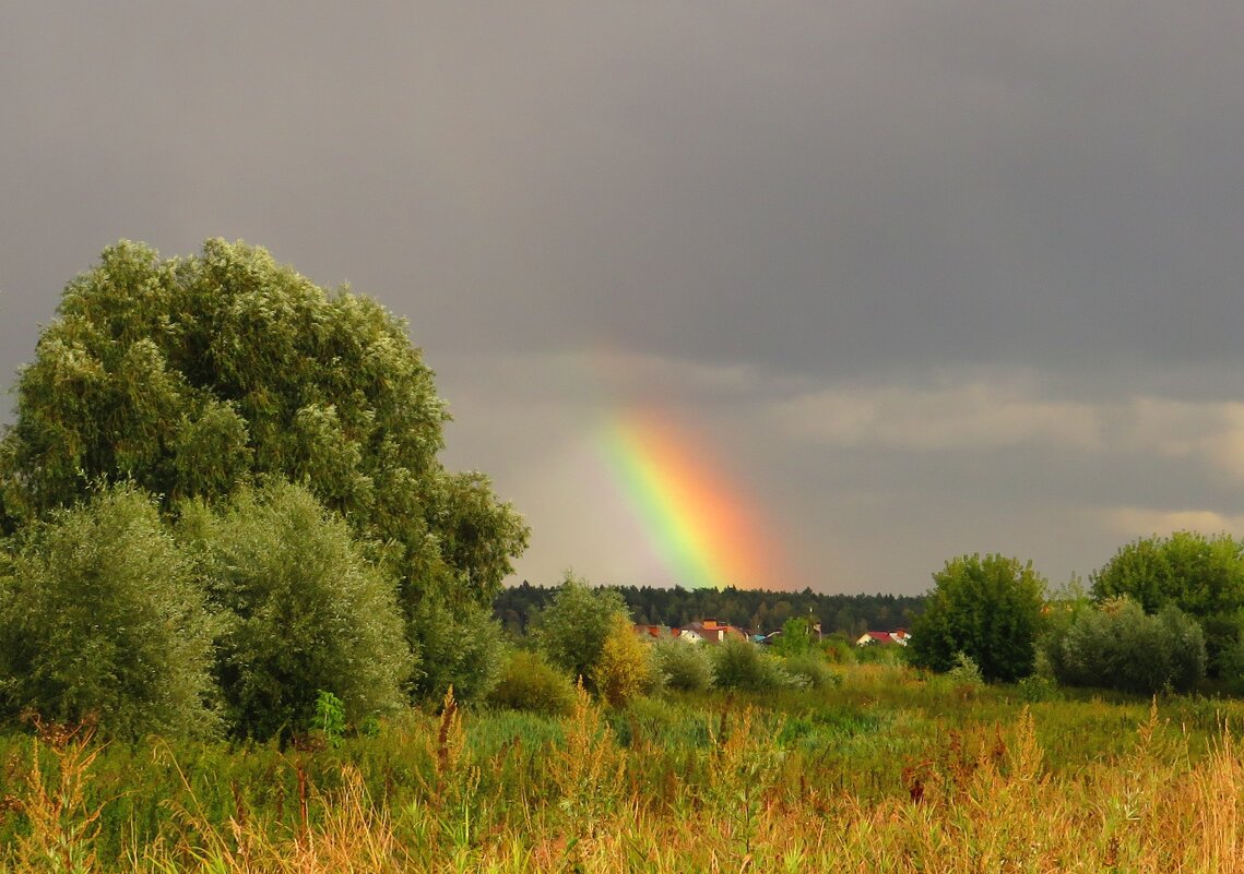 Пейзаж с радугой - Андрей Снегерёв