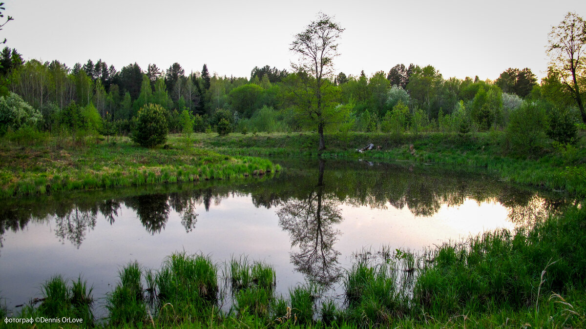 Вечером на реке - Photografer of rivers ...