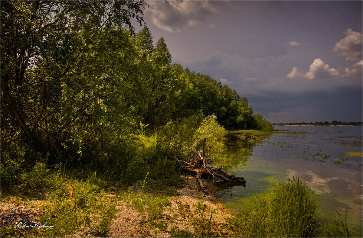 "На берегу перед ливнем"© - Владимир Макаров
