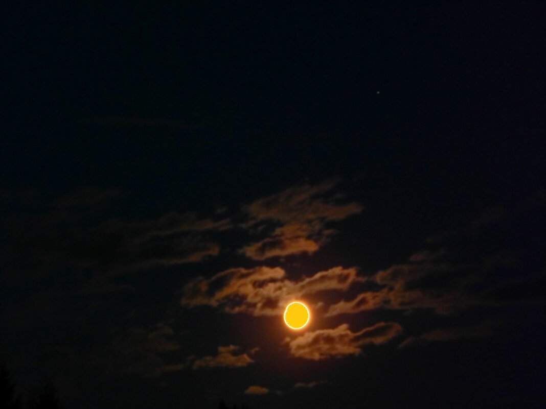Луна под Сатурном - Alisa Koteva 