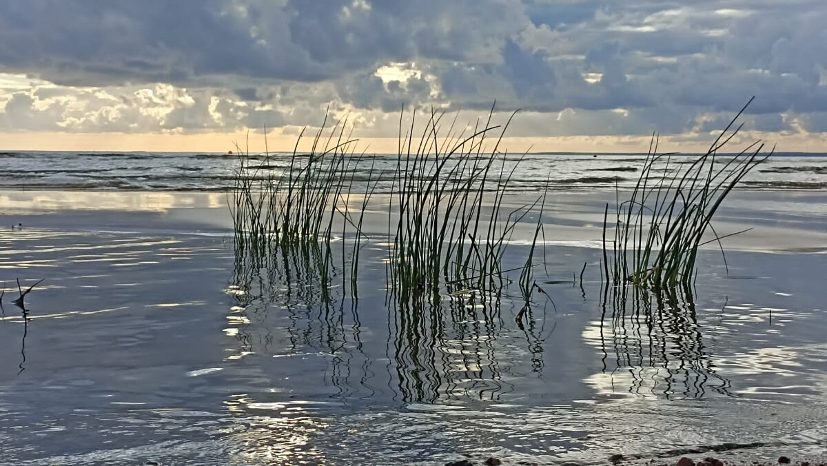 Трава, вода и небо - Николай Иванович 