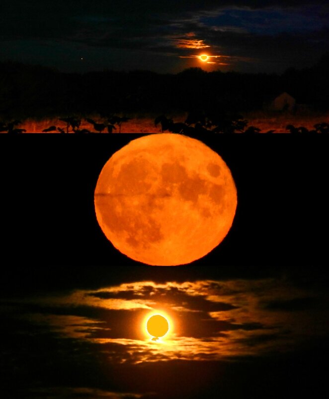 восход луны и юпитера - Alisa Koteva 