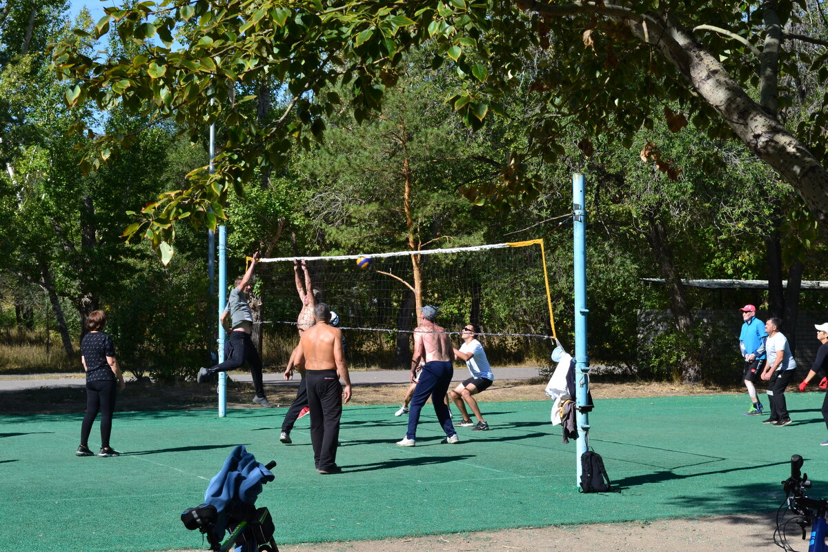 Парковый волейбол... - Андрей Хлопонин