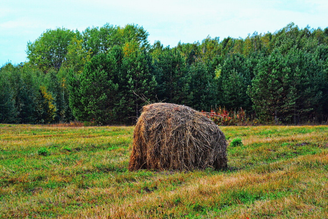 *** - Александр 