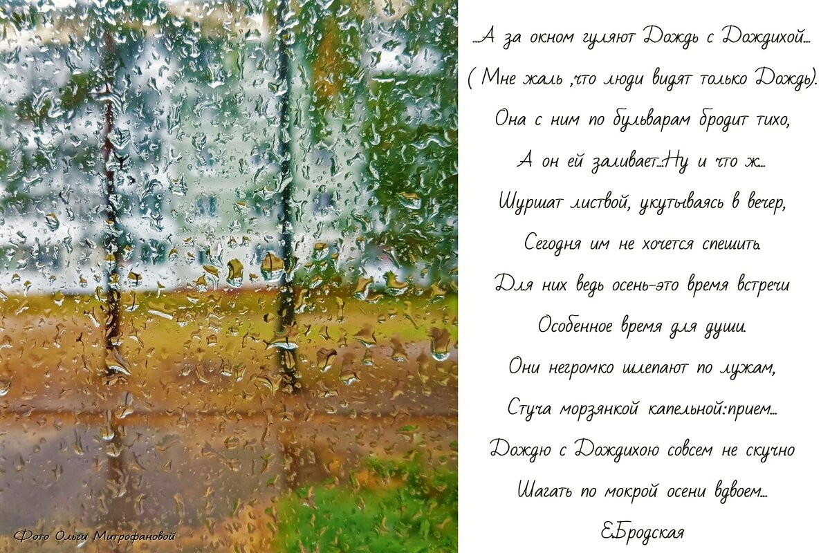 Дождь за окном - Ольга Митрофанова
