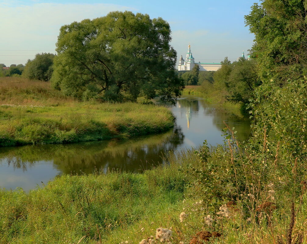 Река Истра Жуково