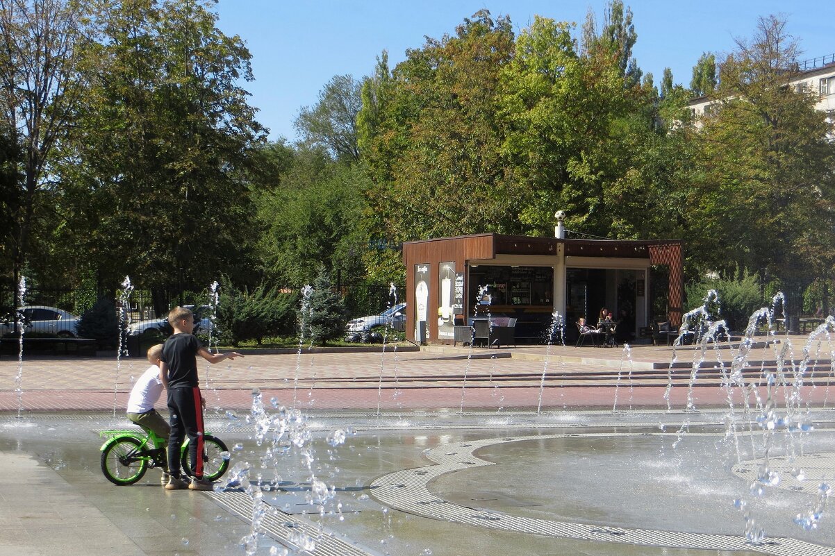 парк плевена