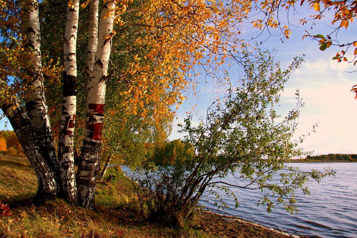 Осень - время ярких красок... - Нэля Лысенко