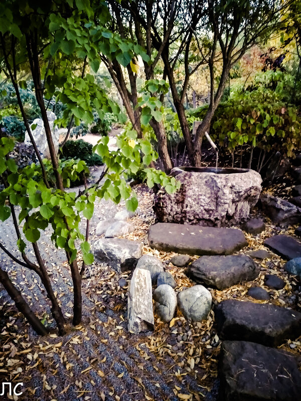 Японский сад в Тюмени - Любовь 