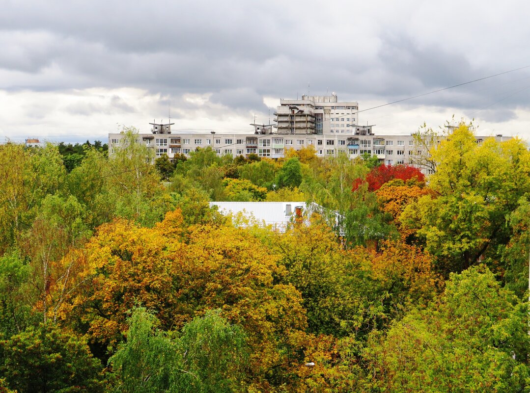 Осенний вид из окна - Андрей Снегерёв