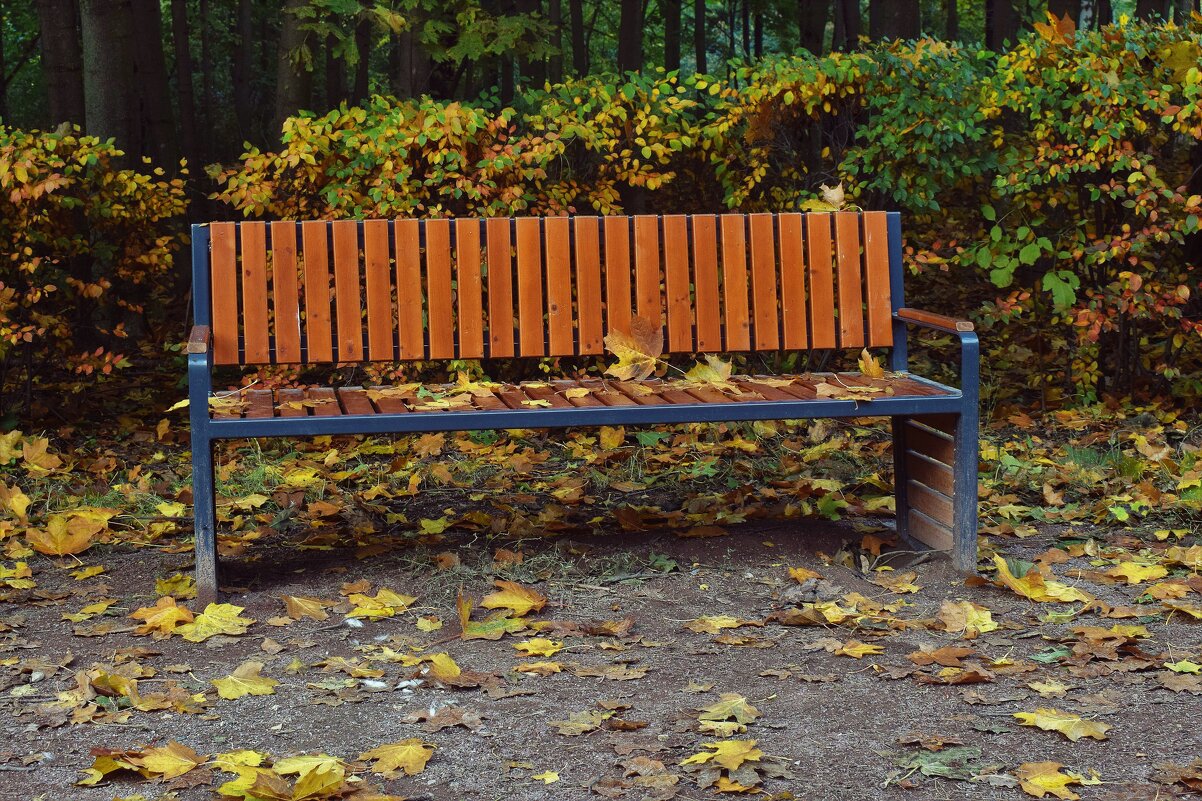 Осень, парк, скамейка... - Татьяна Помогалова