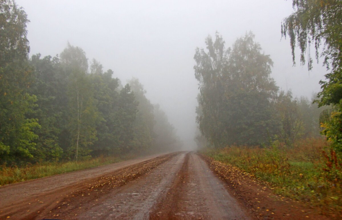 Осенний туман - Nina Karyuk