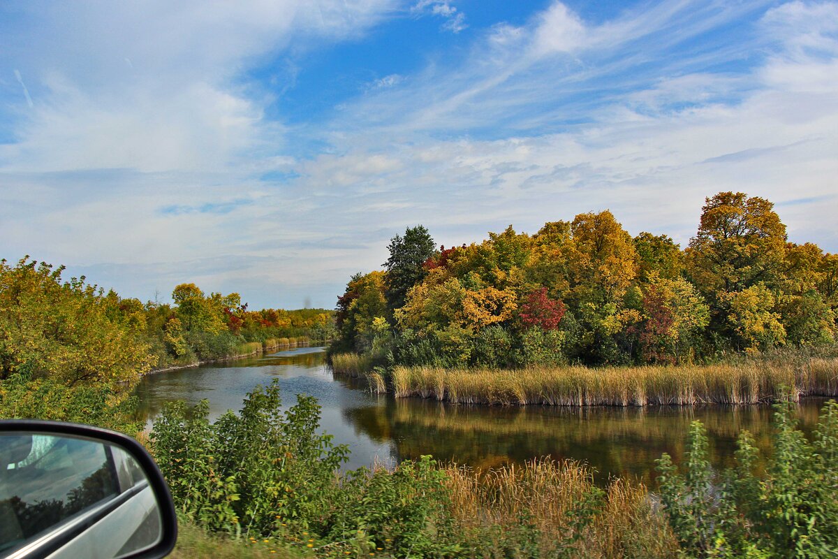 Осень из окна авто - Nina Karyuk
