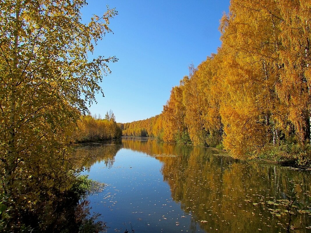 Золотая осень - Лидия 