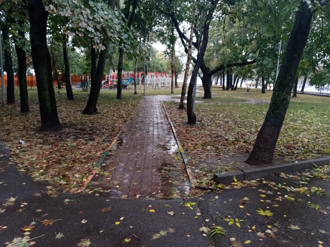 Осень. - Владимир Драгунский