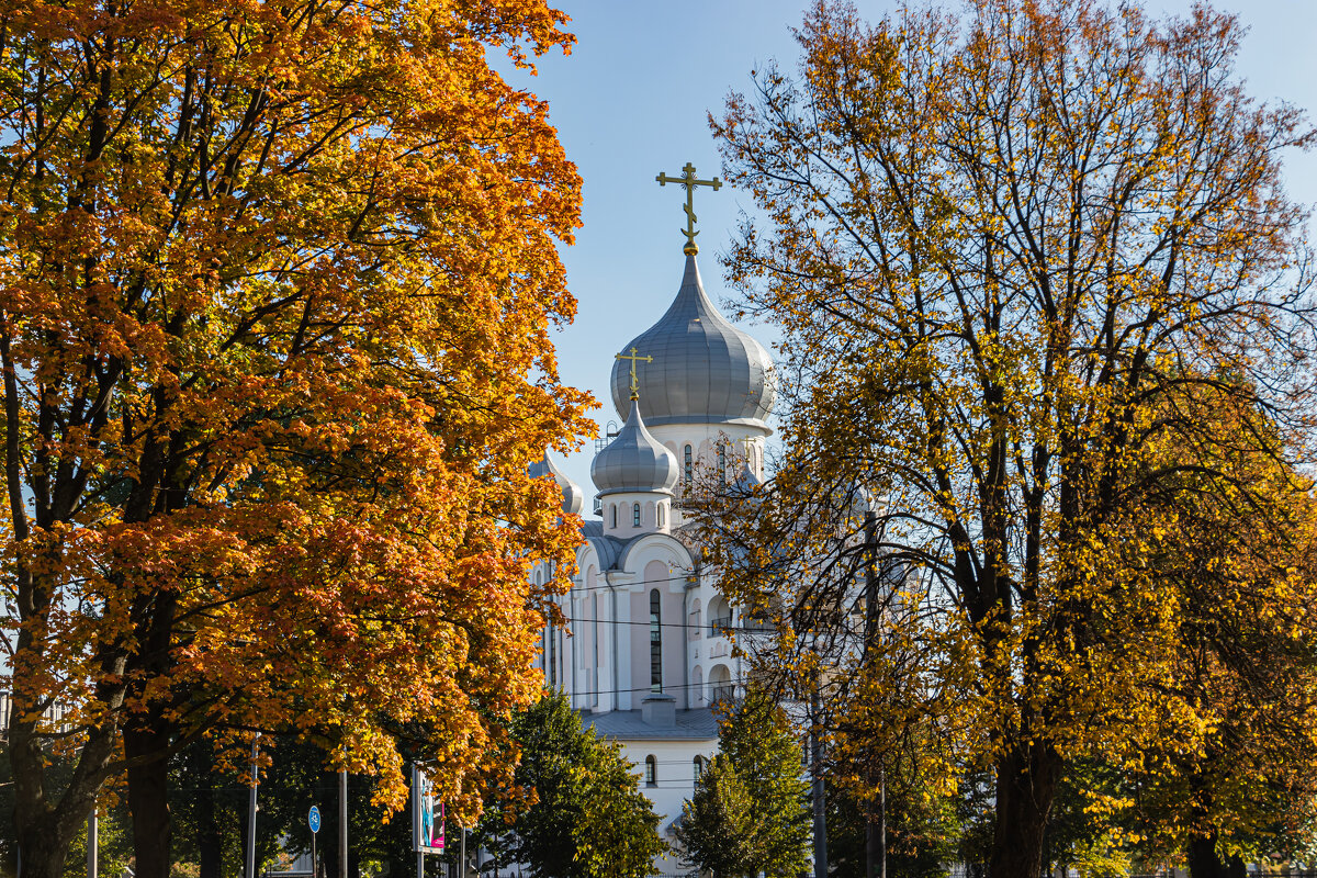 купола - navalon M