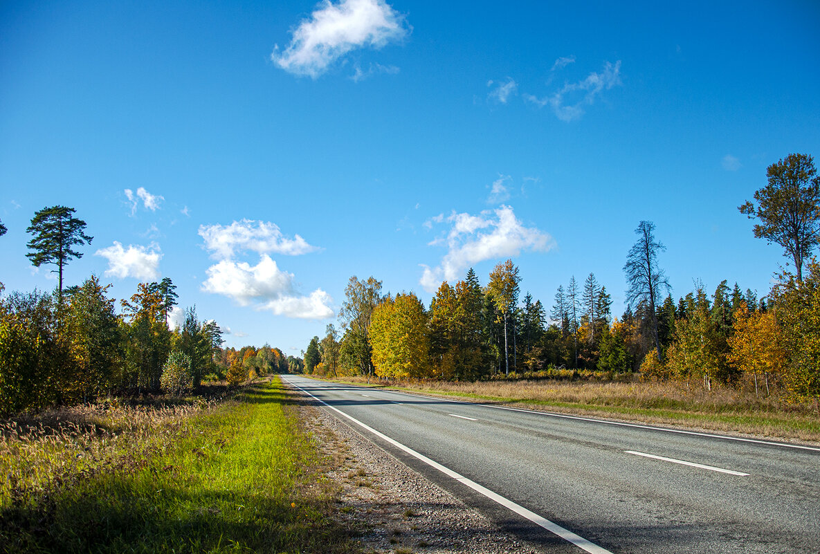 The road to autumn - Roman Ilnytskyi