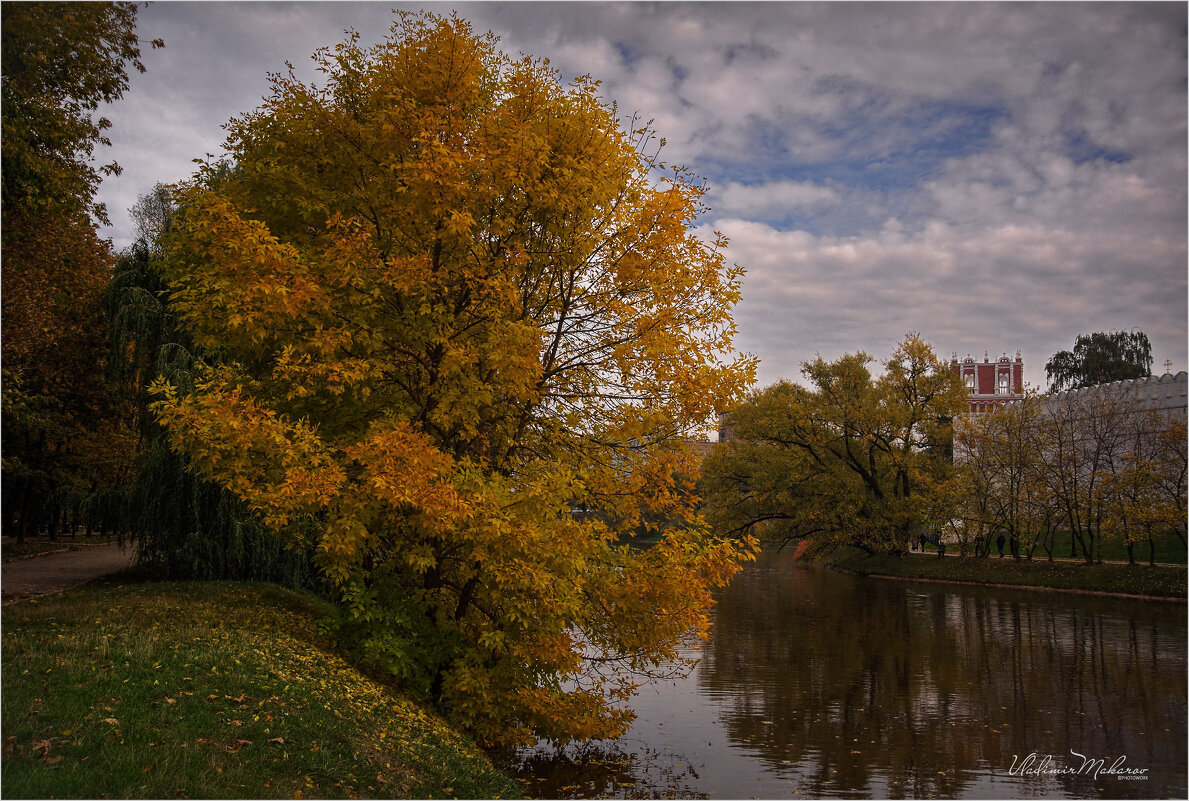 "Осень на Новодевичьих"© - Владимир Макаров