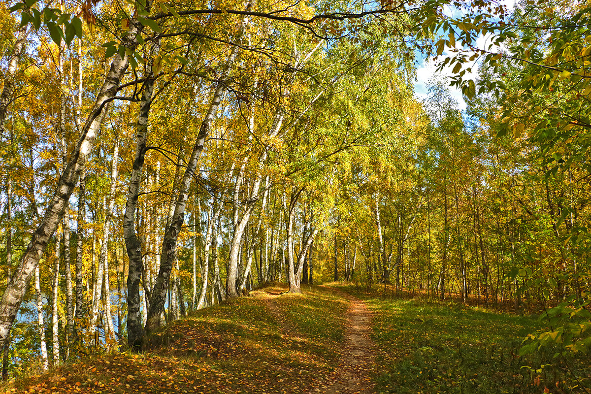 Осень в парке - Светлана 