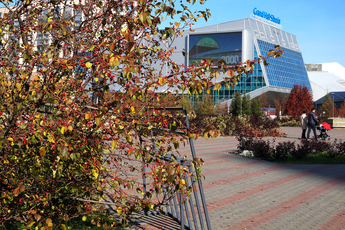 Осень в городе - Екатерина Торганская