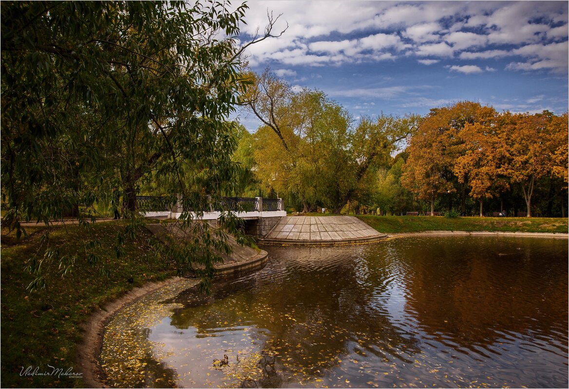 "Осень. Мост на Новодевичьем пруду"© - Владимир Макаров