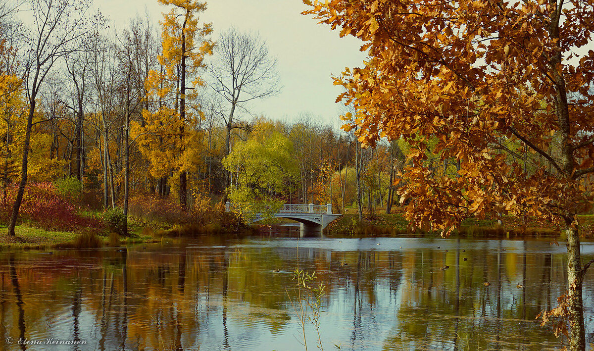 Царское Село - Елена 