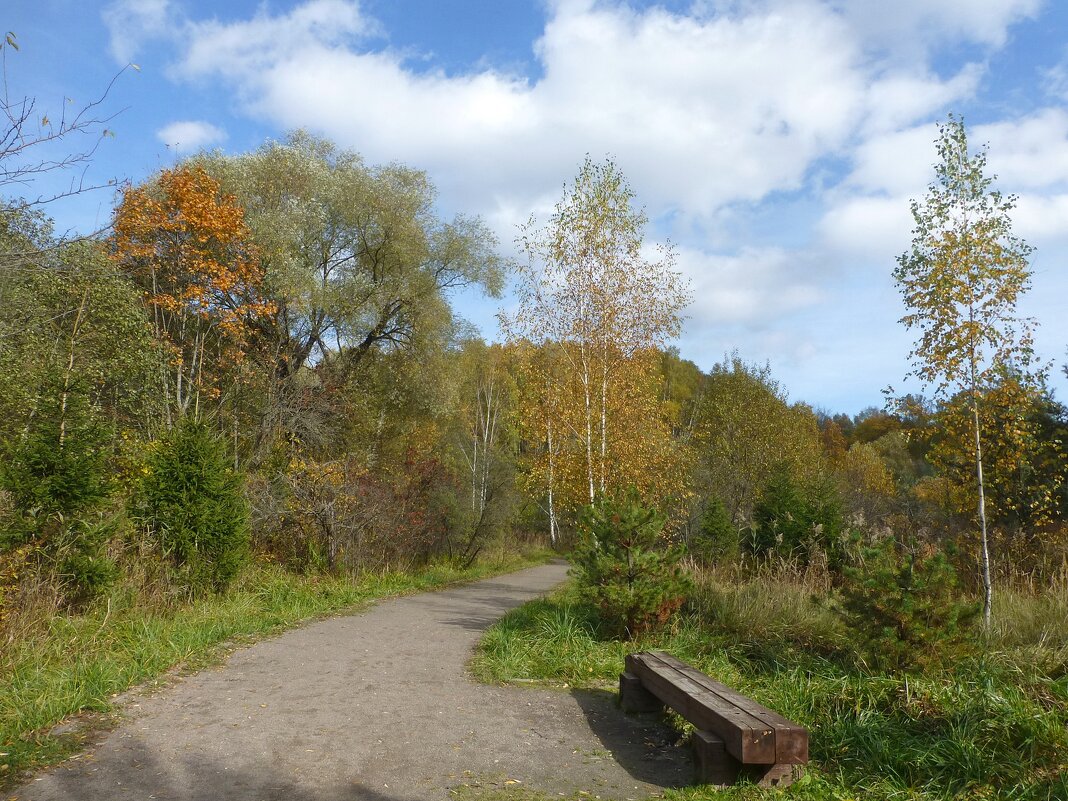 Дорожка в осеннем парке - Лидия Бусурина