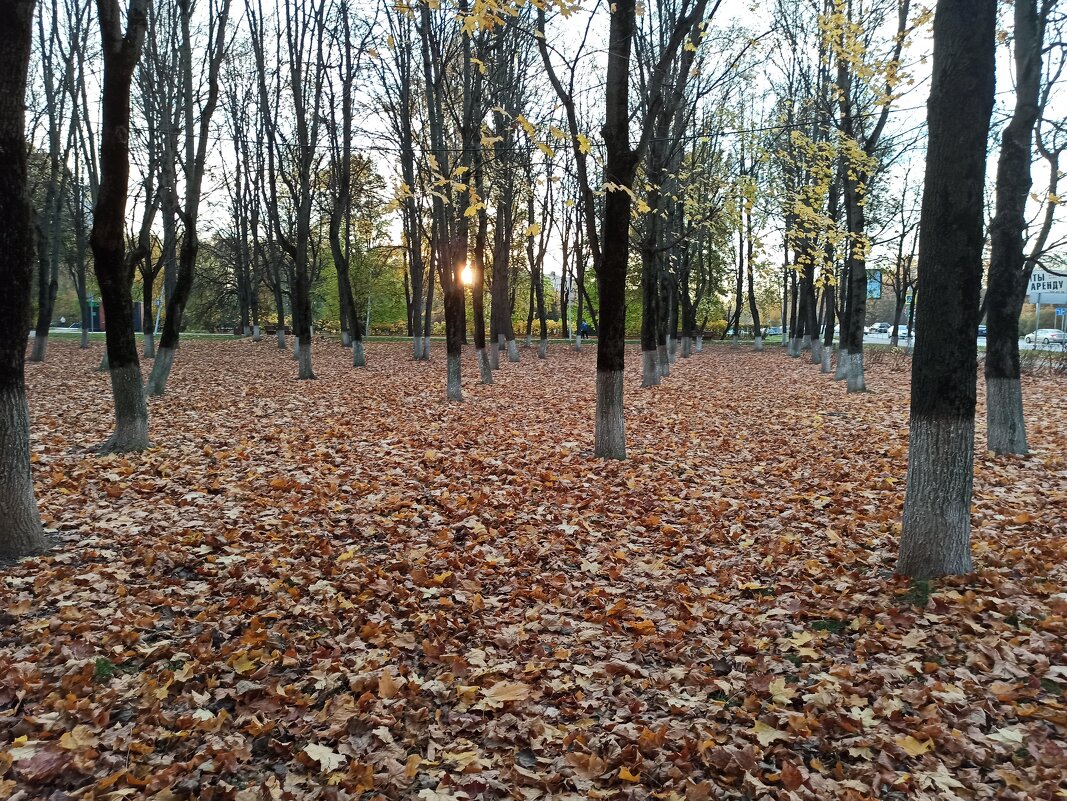 Осенний вечер, без фонтана - svk *