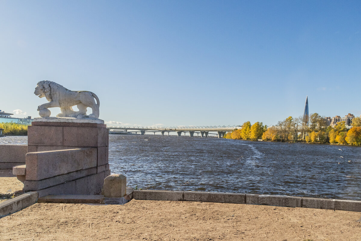 Стрелка ЦПКиО им С.М.Кирова в СПБ - Стальбаум Юрий 