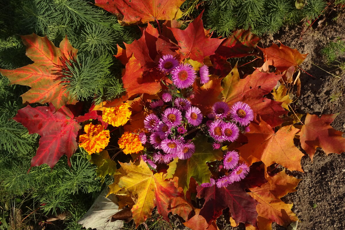 Осенний букет - tamara 