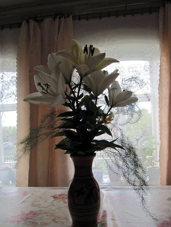 Цветы дома - Вера Щукина