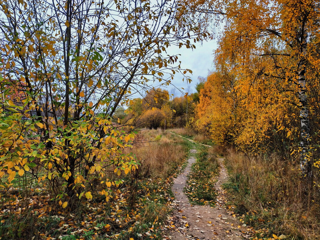 Осень в городе - Андрей Лукьянов