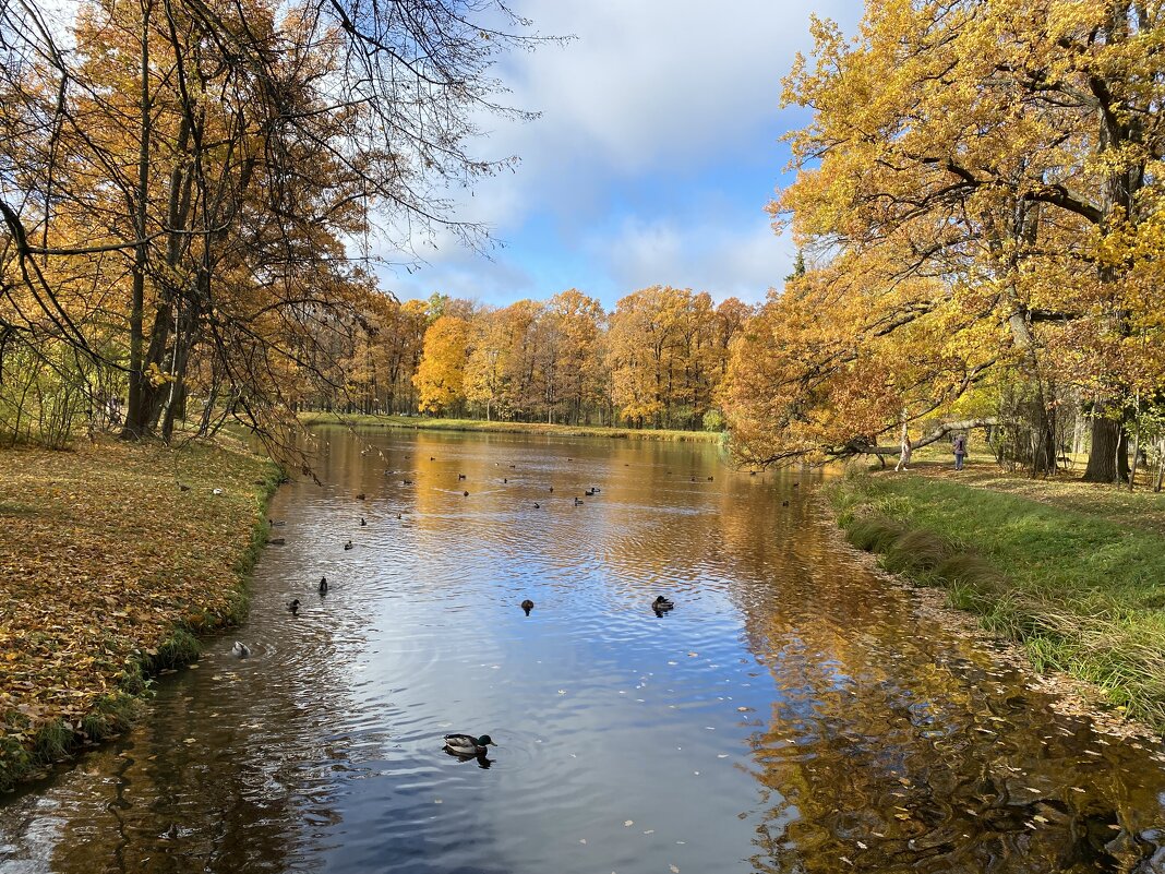 Осенью в Александровском парке. - Татьяна Ф *