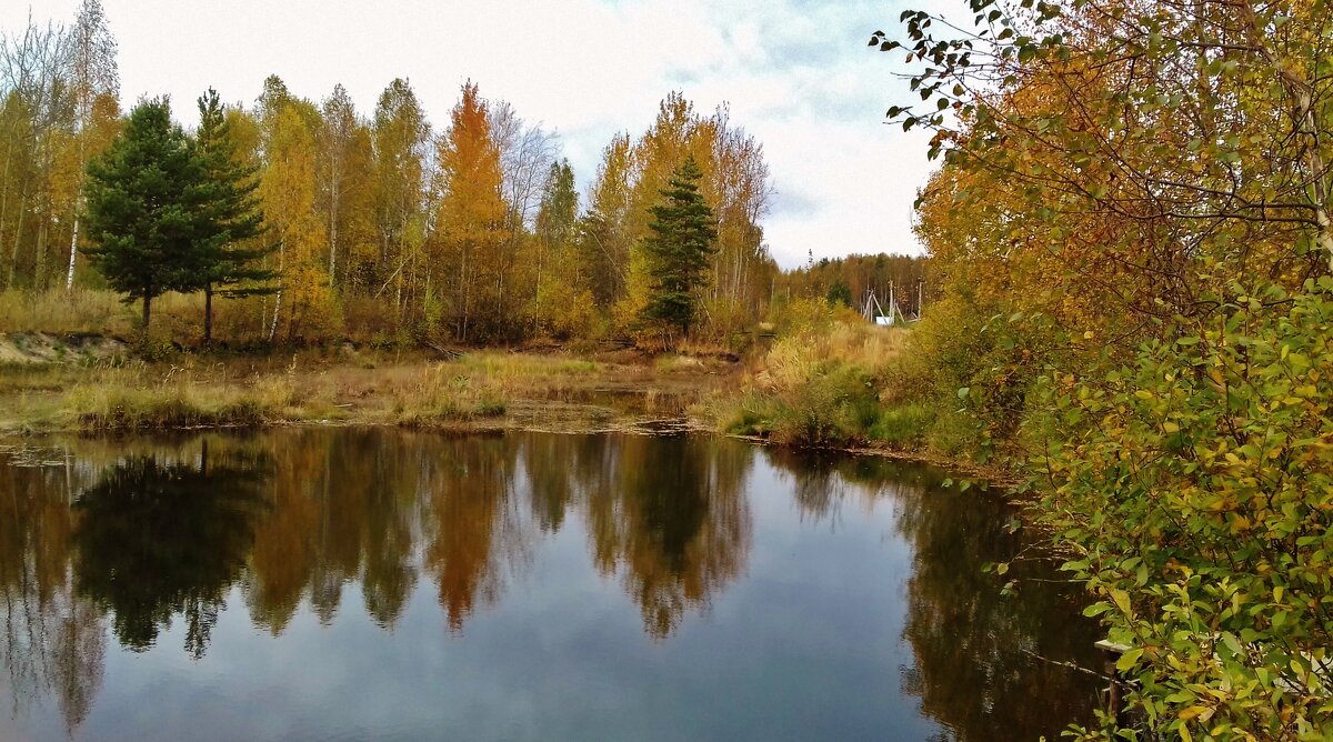 лесной водоем - Владимир 