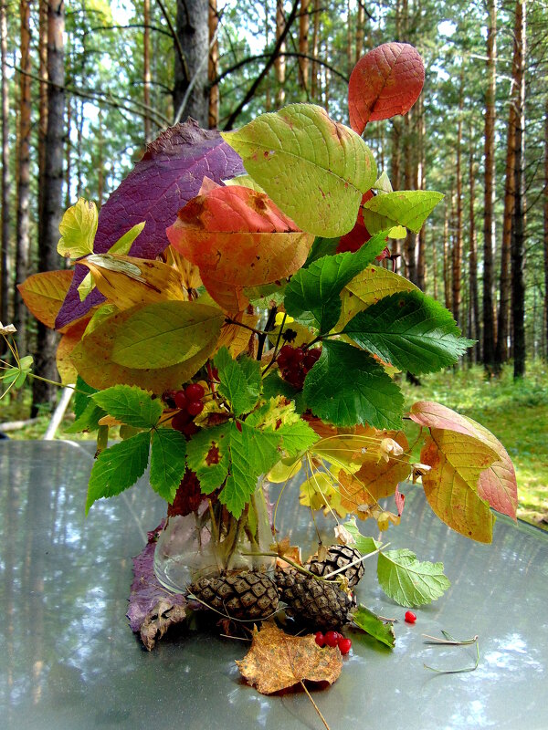 Осени букетик разноцветный. - nadyasilyuk Вознюк