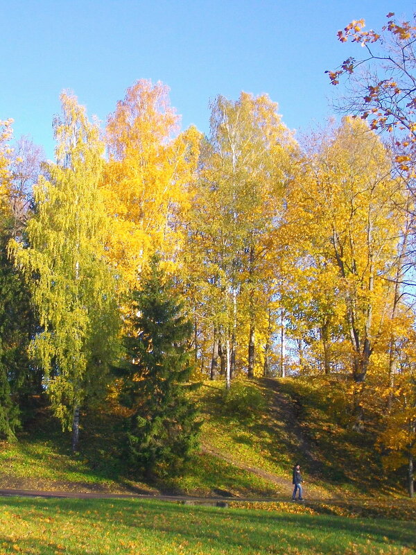 Осенние прогулки. - Лия ☼