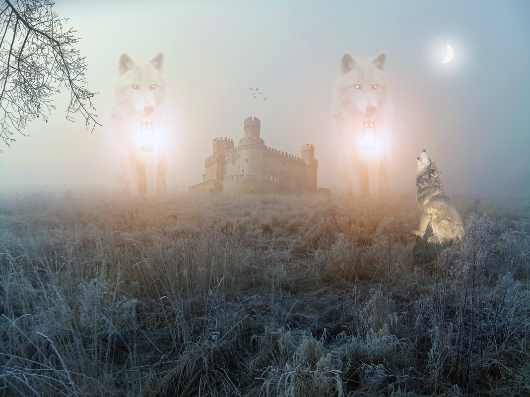 Волчье Царство..( The Wolf Kingdom ) - Свечение Язычество