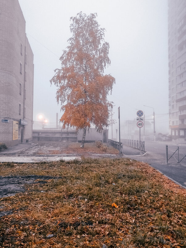 Туманное утро в Брянске - Sergei Vikulov