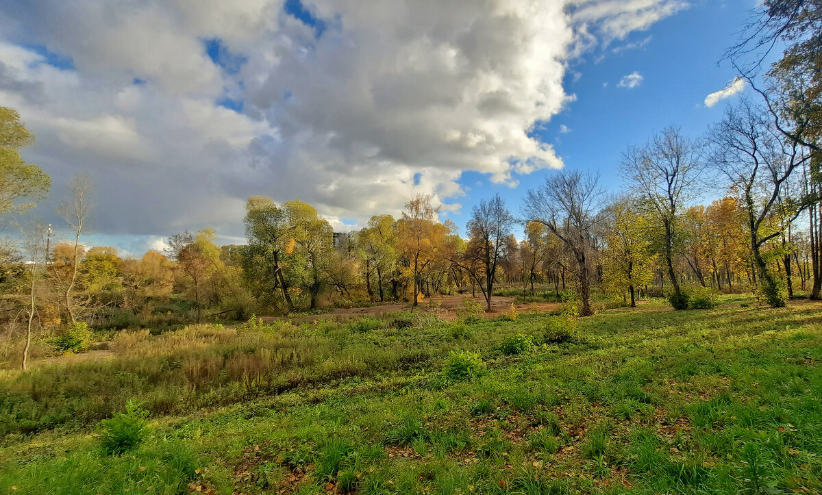 Осенний парк - Елена Кирьянова