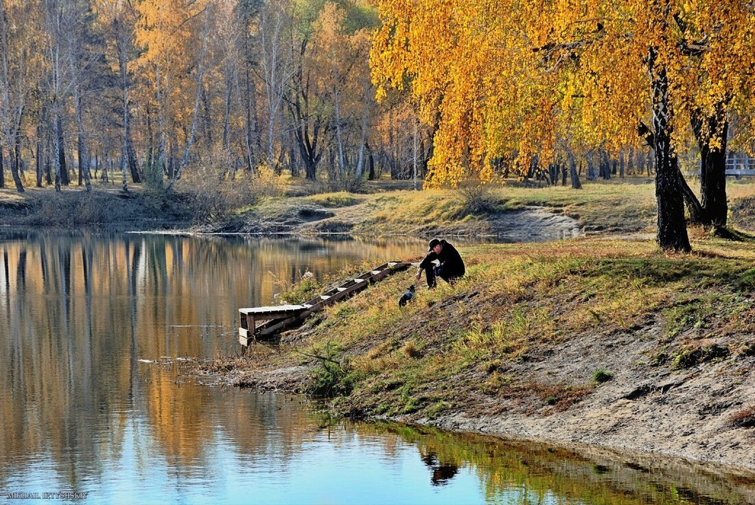 Осень, пруд и маленькая собачка - Mikhail Irtyshskiy
