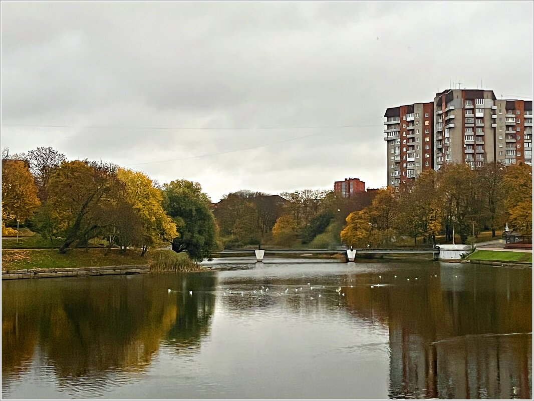 Осень в городе. - Валерия Комова